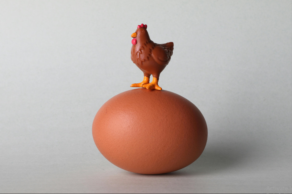 Chicken Butt | Guess What, Jokes Why & Hurry Up 